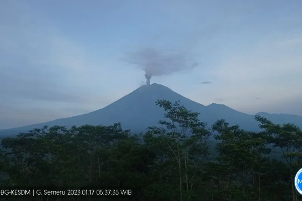 Erupsi Gunung Semeru yang terjadi pada Selasa (17/1/2023) pukul 05:36 WIB./PVMBG.