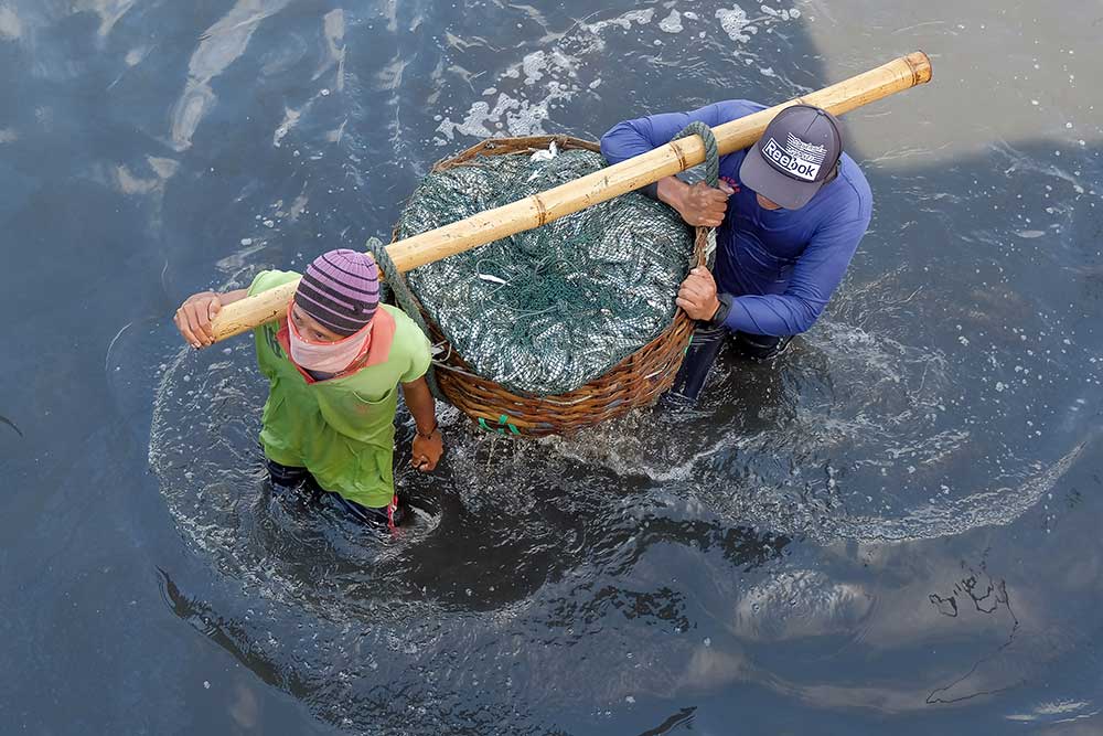 Sejumlah nelayan membongkar muat ikan hasil tangkapan./Antara-Nyoman Hendra Wibowo