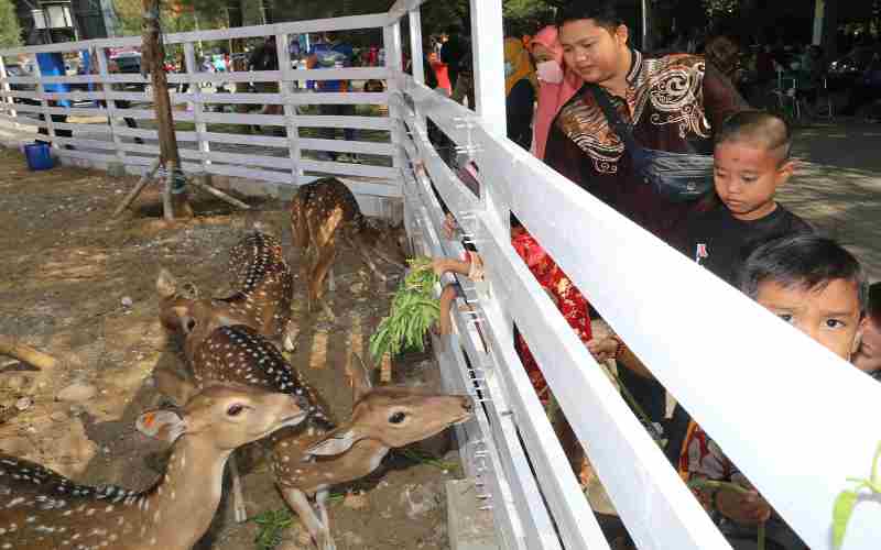  Wisata Romokalisari Surabaya Dilengkapi Area Mini Zoo