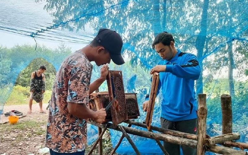  Berkah Digitalisasi BRI, Omzet Pengusaha Madu Siak Kian Berlipat Hingga Ekspansi Keluar Negeri