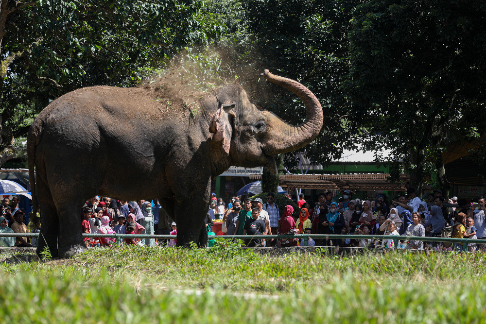  Taman Margasatwa Ragunan Diapadati Warga Saat Libur Hari Raya Imlek