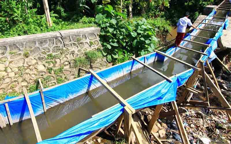  Irigasi Rusak, 800 Hektare Lahan Sawah di Solok Tak Produktif