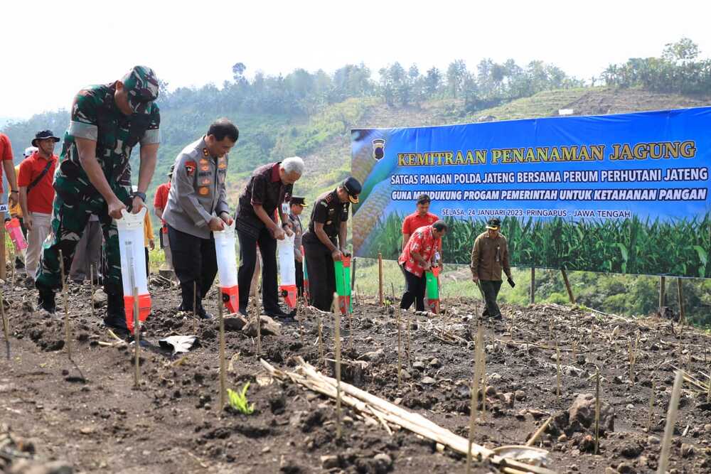 Penanaman jagung dalam rangka ketahanan pangan di Petak 49 Jragung, Desa Candirejo, Kecamatan Pringapus, Kabupaten Semarang, Selasa (24/1/2023)./Ist
