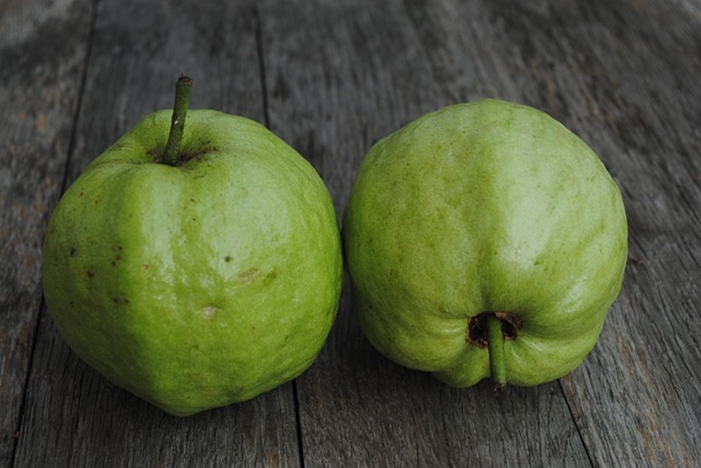  Manfaat Jambu Kristal Bagi Kesehatan, Cocok untuk Menu Diet