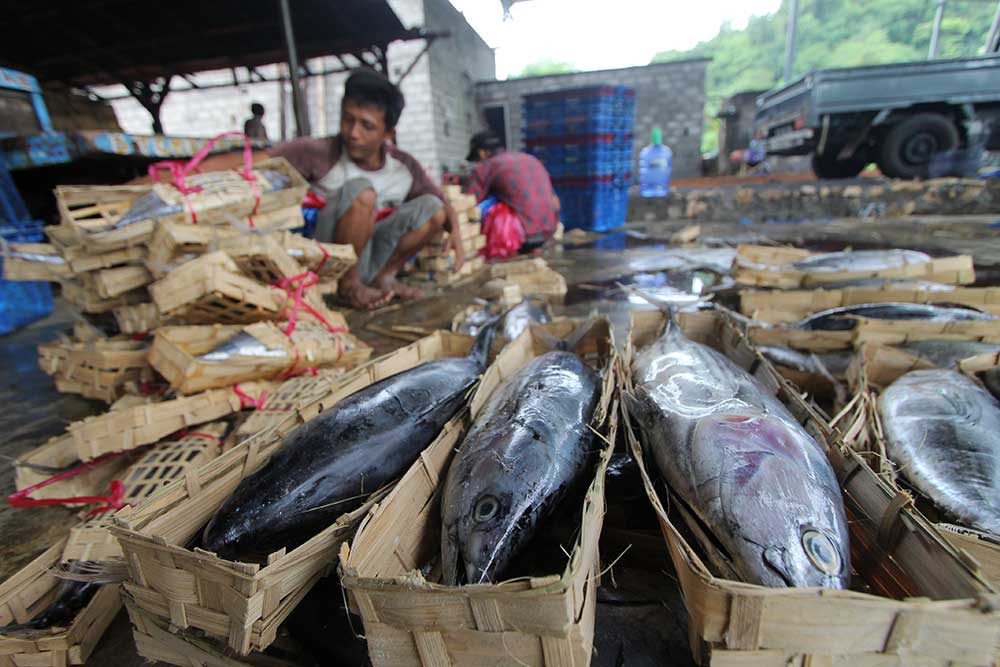  Suplai Ikan Dari Nelayan Berkurang, Industri Olahan Ikan Pindang di Jatim Menurunkan Produksi
