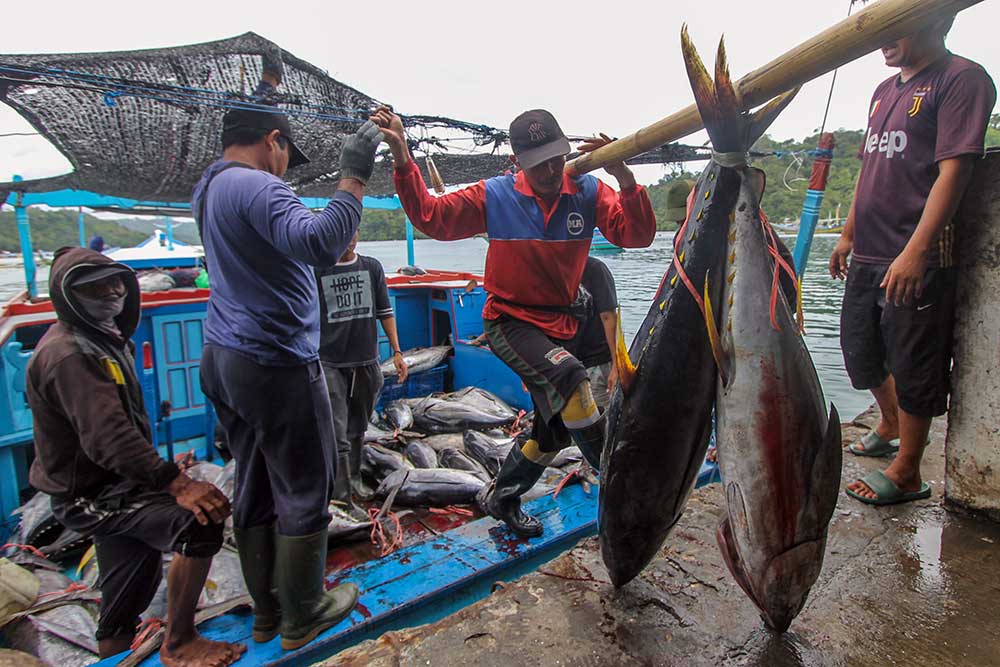  Cuaca Buruk Membuat Tangkapan Ikan Nelayan di Jawa Timur Menurun
