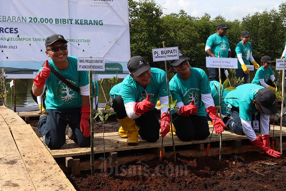  Penanaman 30.000 Bibit Mangrove