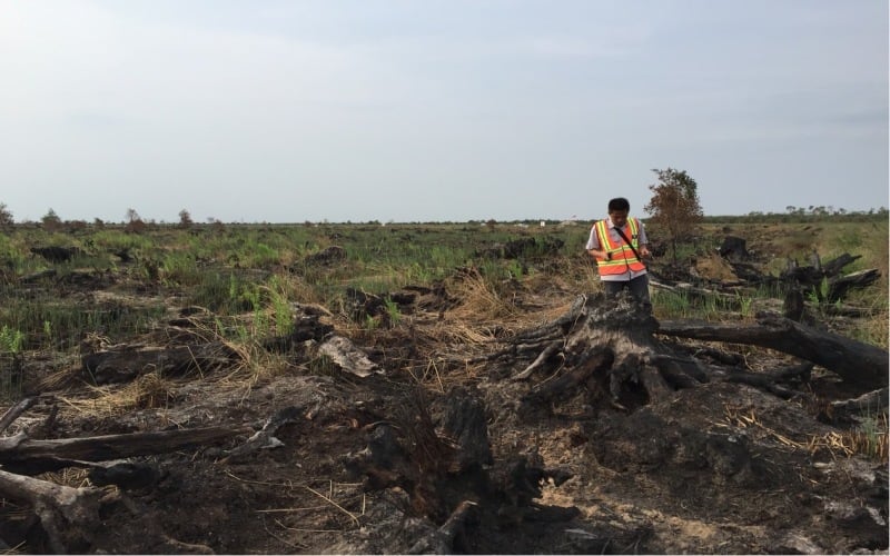 Petugas KLHK memeriksa lokasi kebakaran lahan atas konsesi PT Rambang Agro Jaya di Kabupaten Ogan Komering Ilir, Sumatra Selatan. istimewa