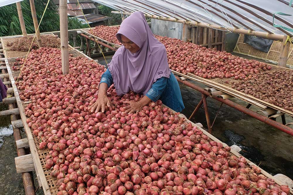  Harga Bawang Merah di Tingkat Petani Alami Kenaikan