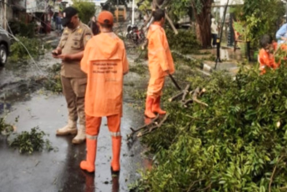  Update: 14 Pohon Tumbang Akibat Hujan Disertai Angin Guyur Jakarta