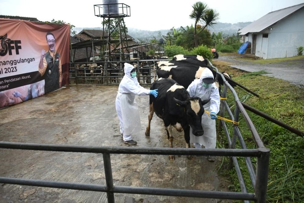  Masih Ada Ternak dari Jateng dan Jatim Masuk Jabar Tanpa Surat Sehat