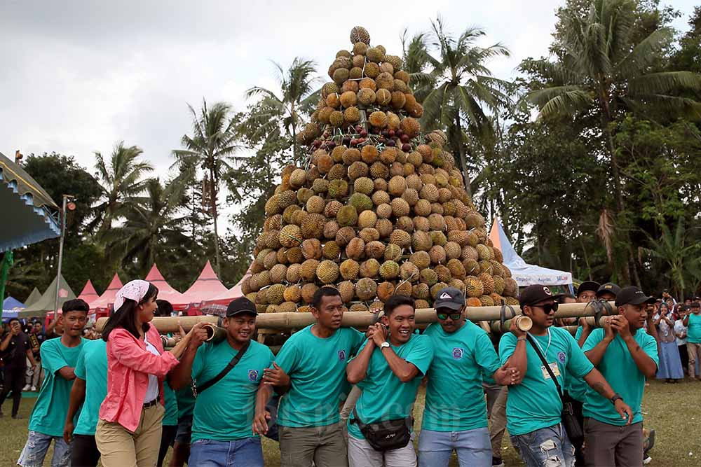  Festival Durian Sumbersari