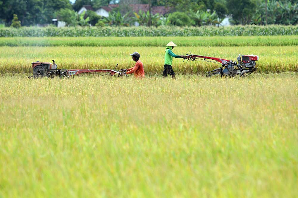  Stok Beras di Jawa Timur Melimpah Mencapai 200.000 Ton