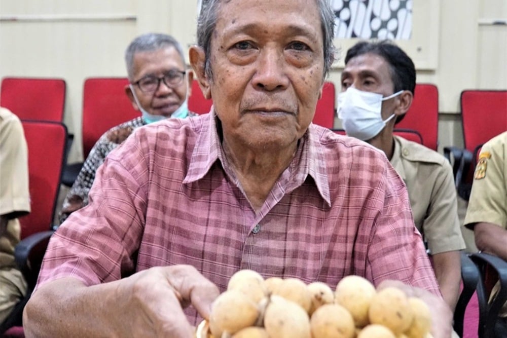  Yogyakarta Sertifikasi Varietas Duku Asli Nitikan