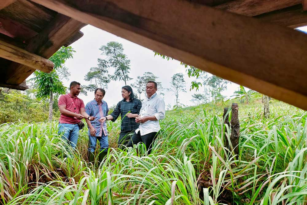  YDBA Resmikan Lembaga Pengembangan Bisnis (LPB) di Lebak Banten