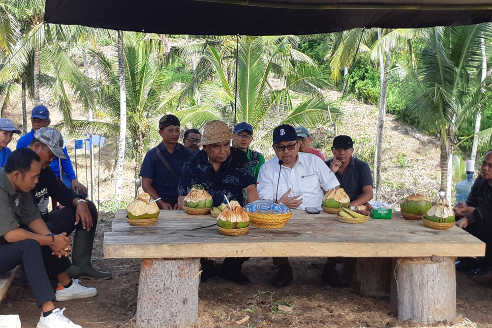  Jembrana Kejar Target Produksi Kakao