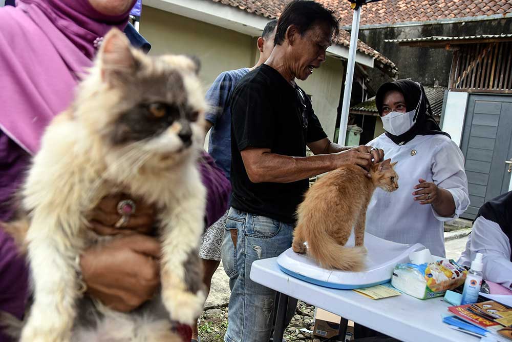  Disnakan Kabupaten Ciamis Gelar Vaksinasi Rabies Gratis Bagi Hewan Peliharaan
