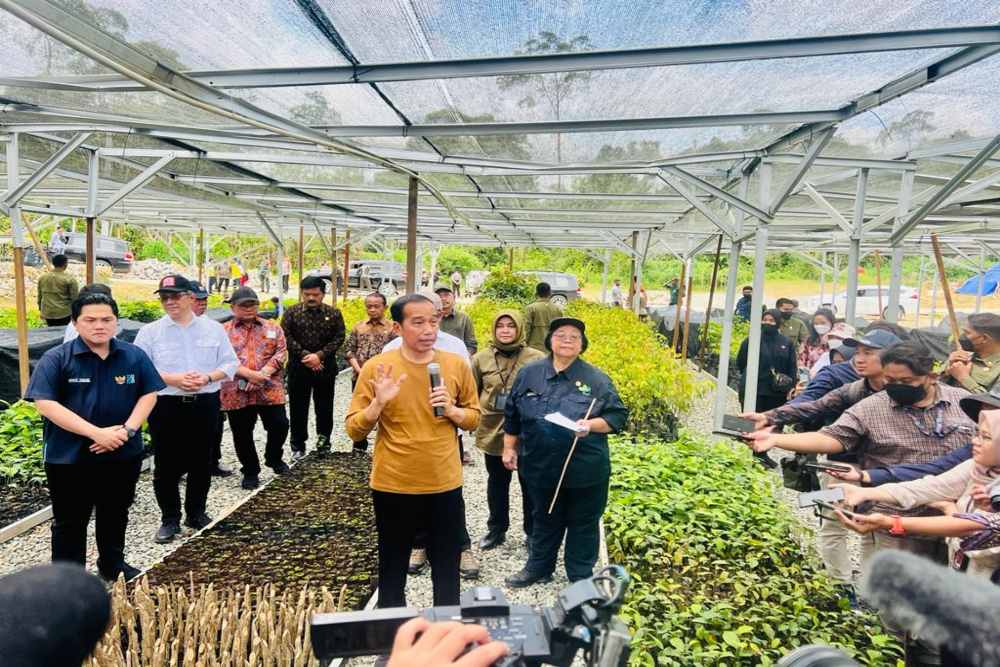  Jokowi Kenalkan Persemaian Mentawir, Komitmen Pemerintah Hijaukan IKN