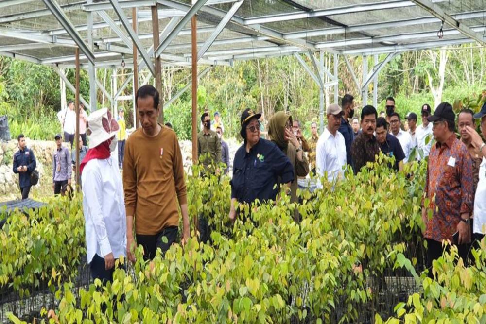  Jokowi: Persemaian Mentawir Dukung Reklamasi Lubang Bekas Tambang di IKN