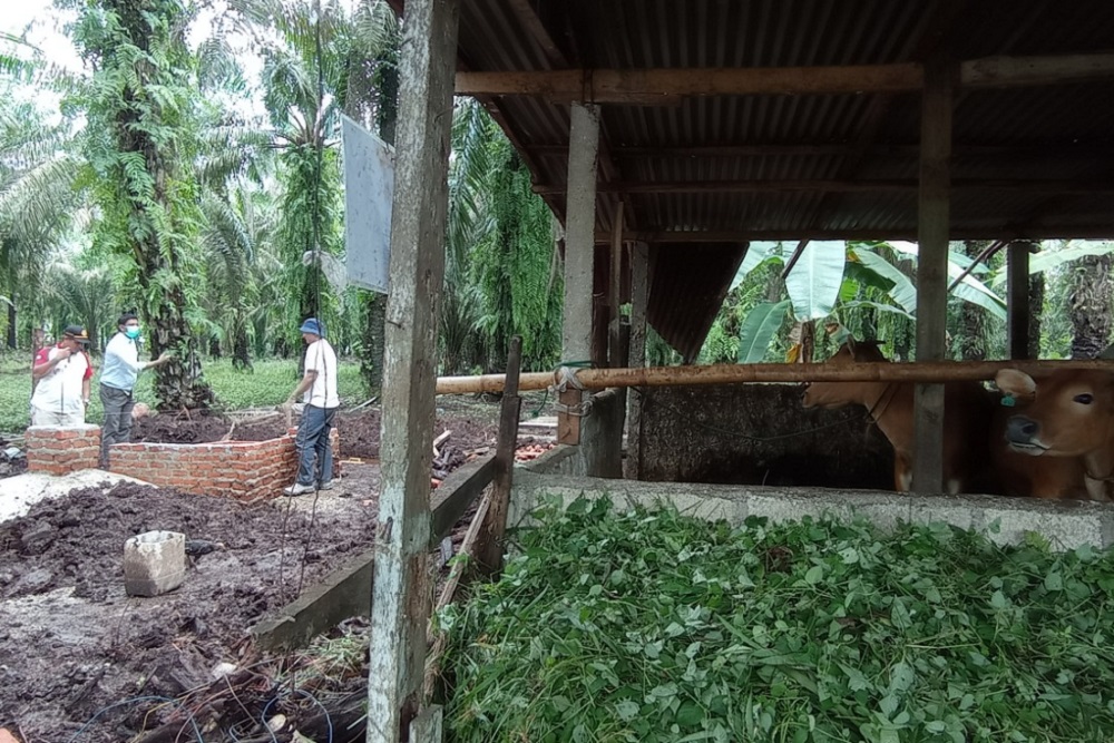  Ciptakan Kemandirian Energi di Desa, PHR Hadirkan 9 Unit Reaktor Biogas untuk Warga