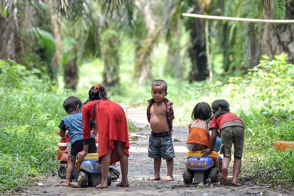  Hutan di Jambi Jadi Perkebunan, Orang Rimba Terpaksa Menumpang di Areal Perkebunan