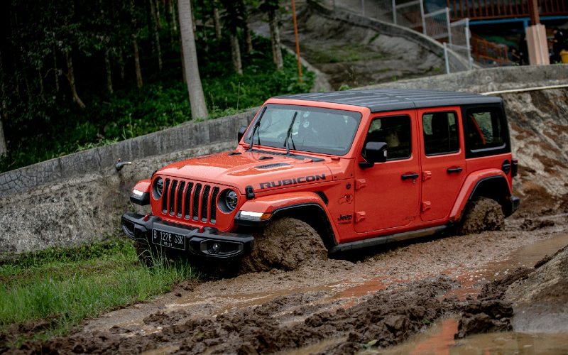 Jeep Gladiator menyasar konsumen yang senang dengan nuansa atraktif. /Jeep
