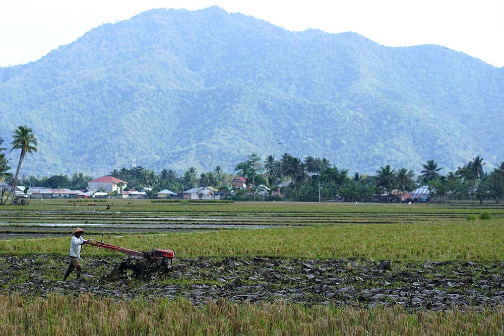  Nilai Tukar Petani Gorontalo Meningkat 0,46 Persen Pada Februari 2023