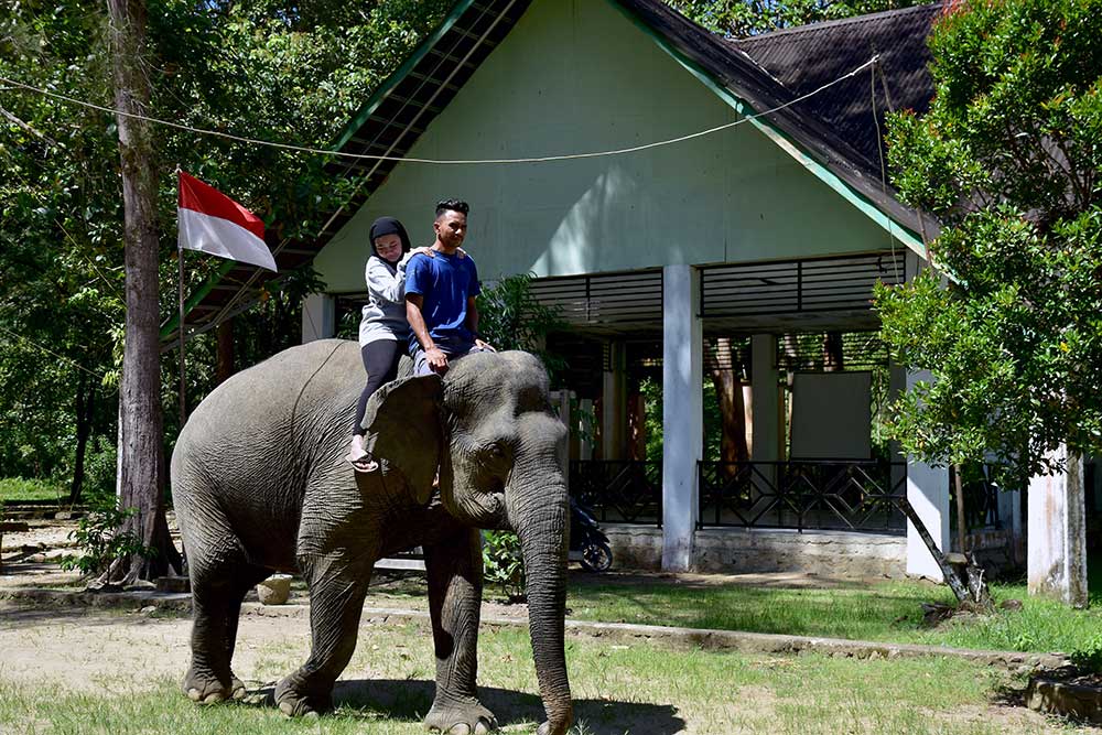  Potensi Ekowisata Gajah di Aceh Belum Digarap Maksimal