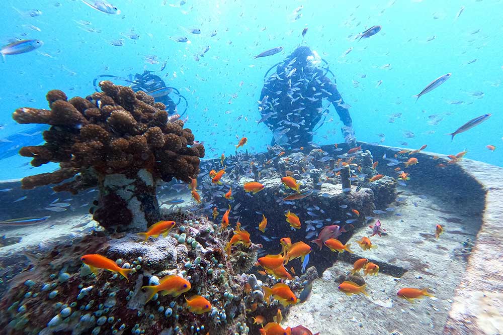  Begini Proses Transplantasi Terumbu Karang di Aceh