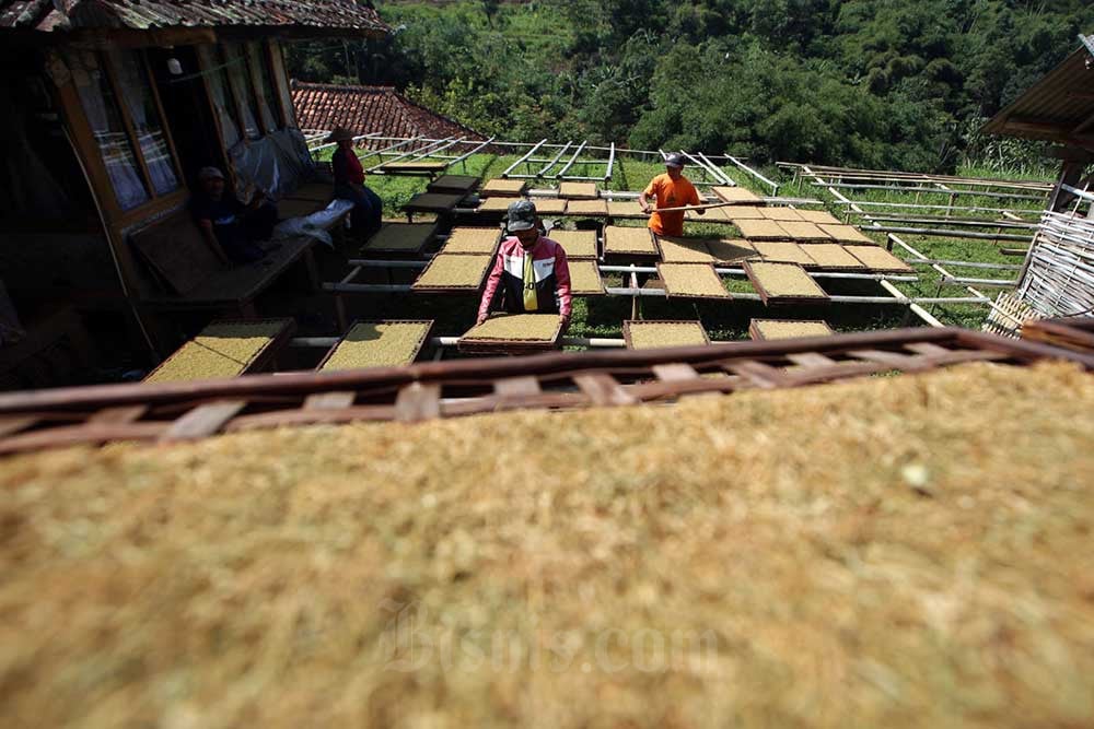  Kawasan Industri Tembakau di Malang Terkendala Lahan