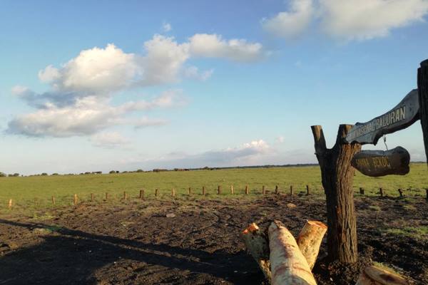  Wisata Merak Baluran Semakin Ramai Pelancong