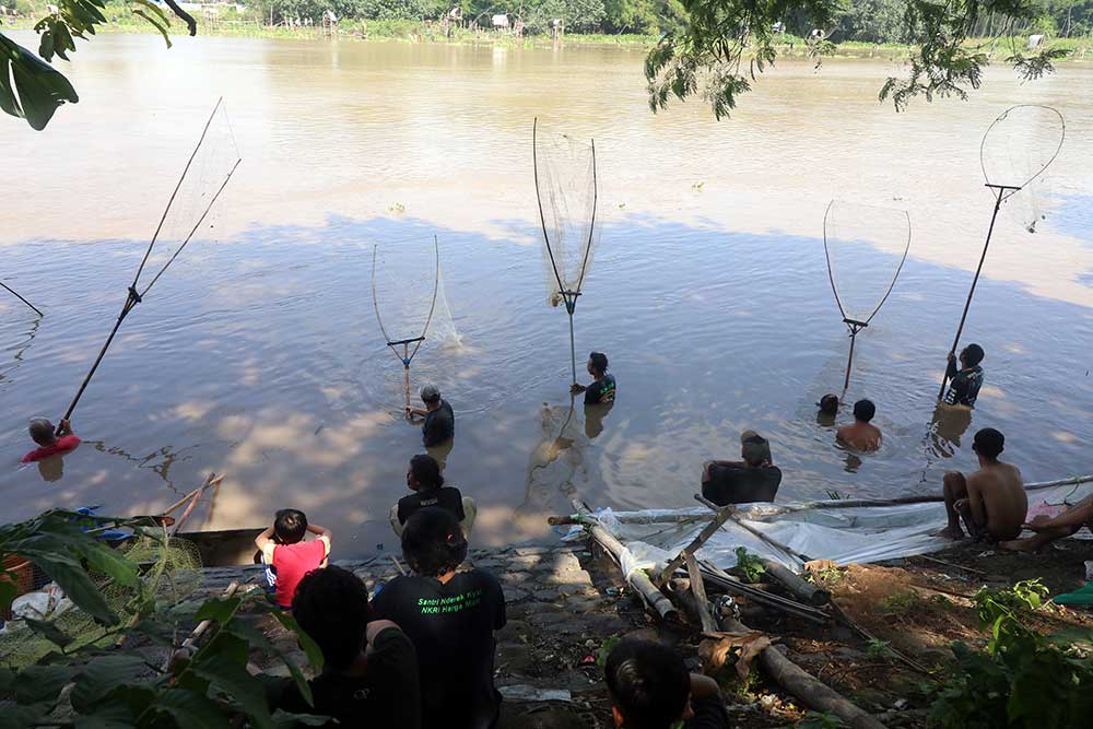  Warga di Kediri Menangkap Ikan Mabuk di Sungai Brantas