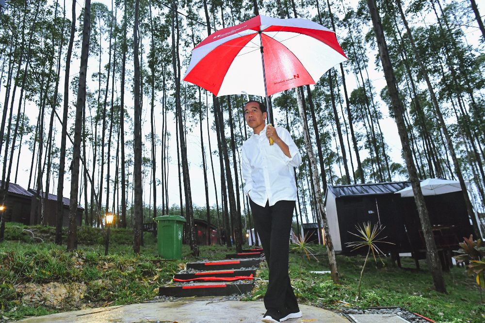 EDITORIAL : Obral Insentif IKN Nusantara