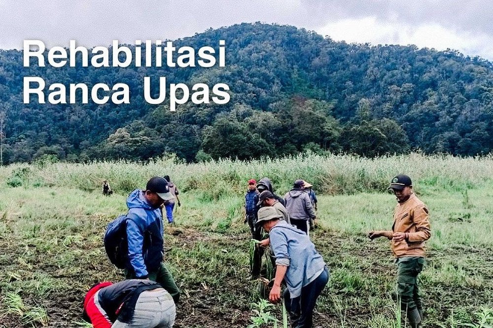  Komunitas Trail Rusak Edelweis di Ranca Upas, Permintaan Maaf Perhutani Dicibir Warganet
