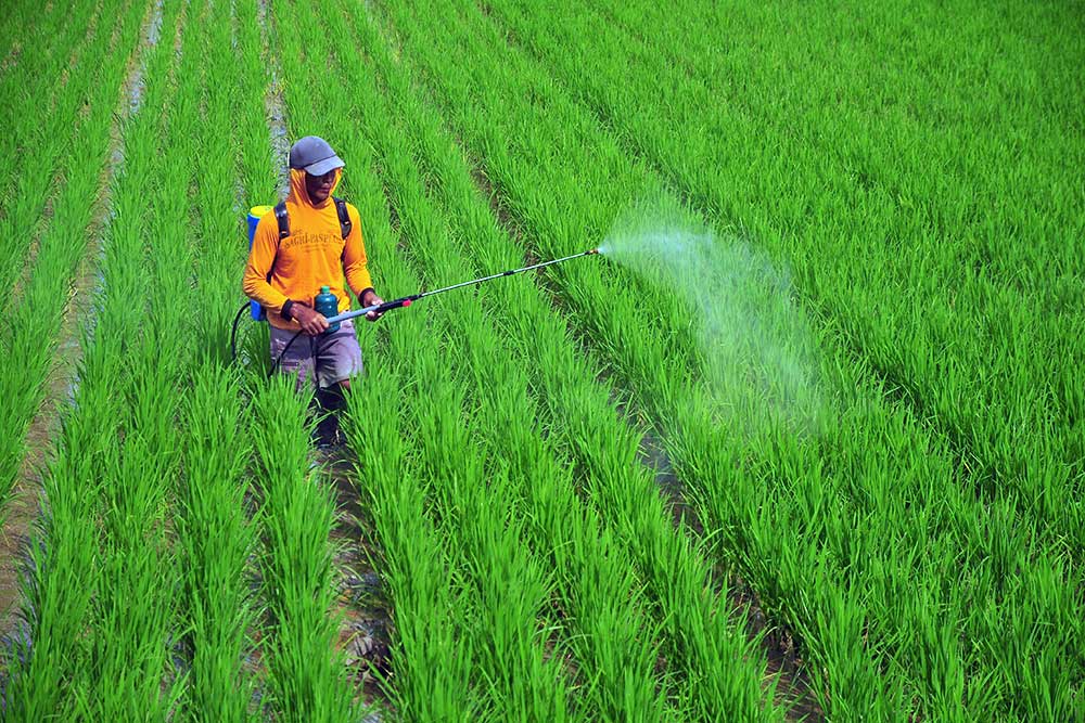  BPS Mencatat Nilai Tukar Petani Pada Februari 2023 Naik 0,63 Persen