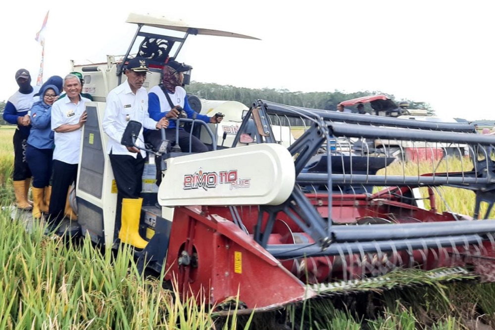  Panen Padi Melimpah, Ini Harapan Pemkab OKI
