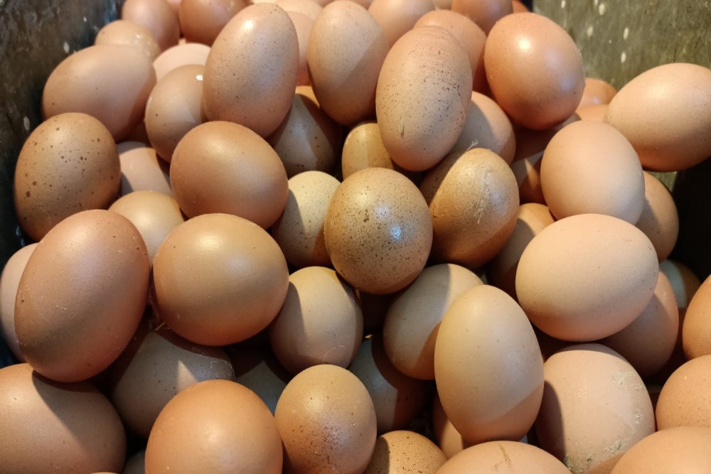 Harga telur di Pasar Bendungan Hilir, Jakarta Pusat, Selasa (14/3/2023) tembus Rp30.000 per kg/Bisnis-Ni Luh Anggela
