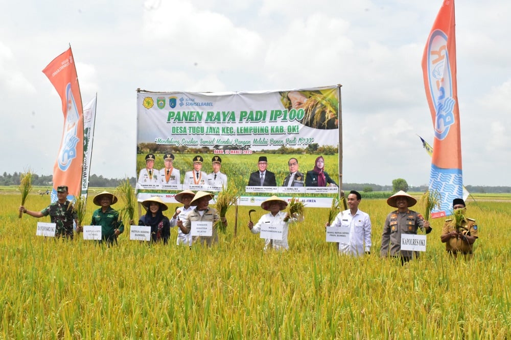  Hasil Panen Padi OKI Tembus 6,6 Ton per Hektare