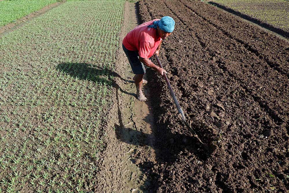  Kementan Targetkan Kampung Sayur Pada 2023 Sebanyak 1.549 di Seluruh Indonesia