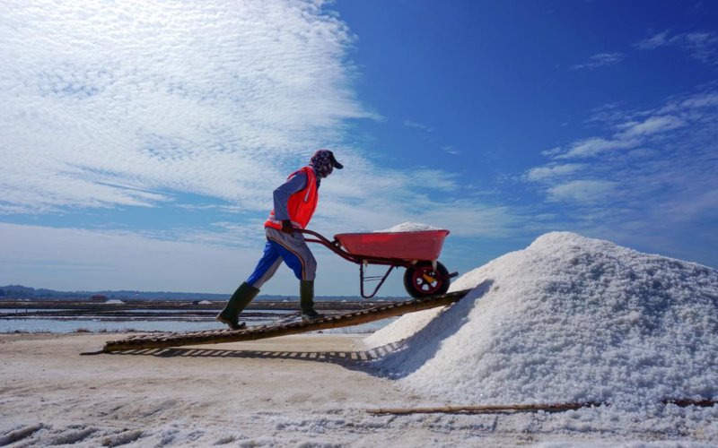  Produksi Garam Kabupaten Cirebon Terus Merosot