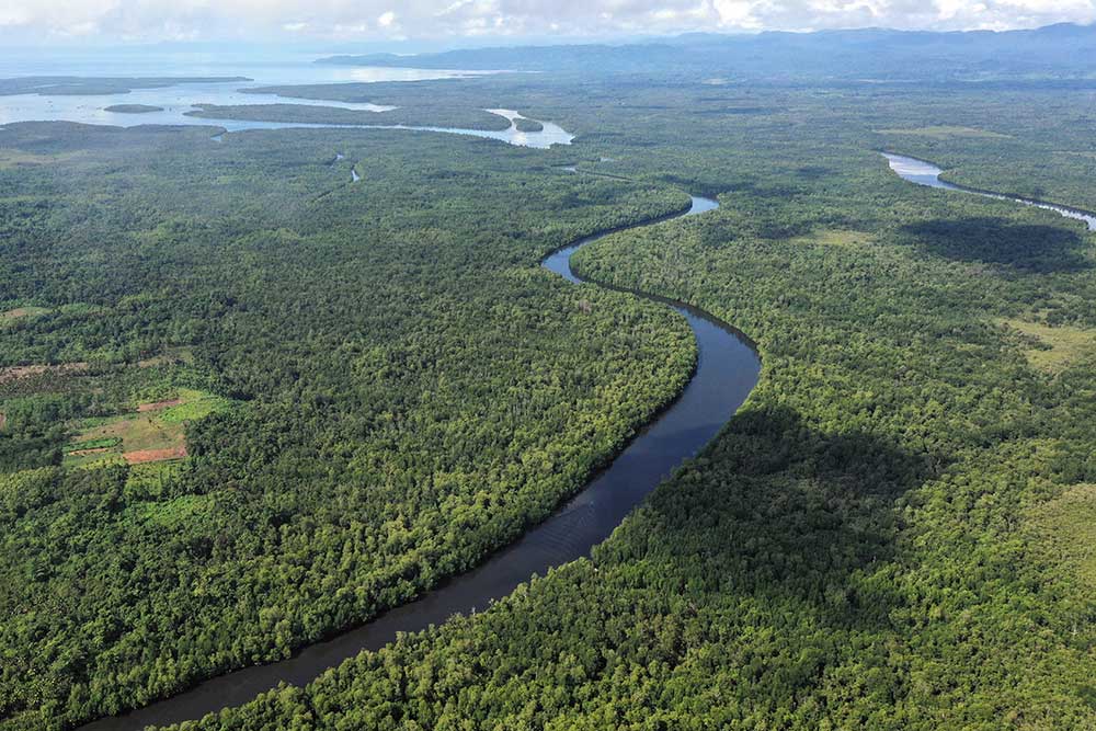  Keindahan Hutan Mangrove di Buton Utara Sulawesi Tenggara