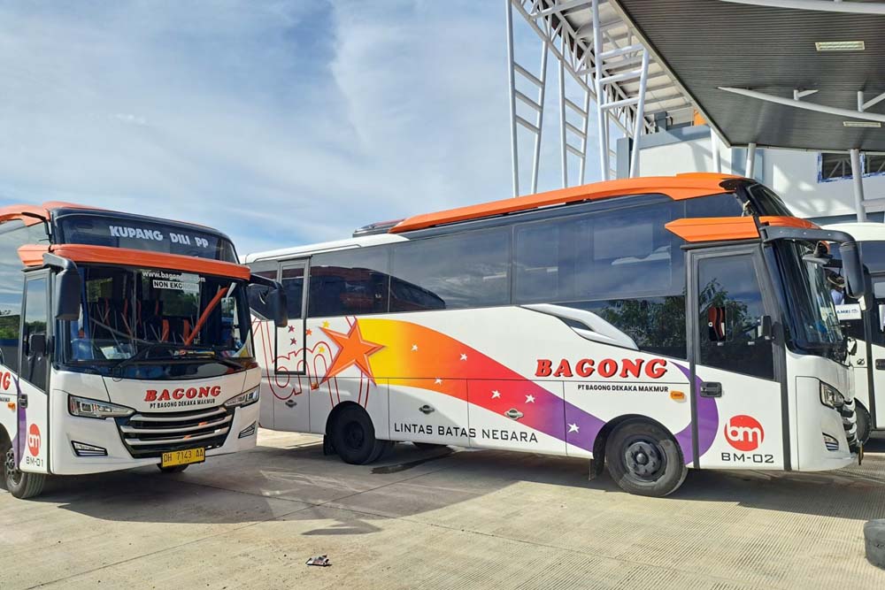  Bus Lintas Batas Kupang-Dili Resmi Meluncur, Tarif Mulai Rp350.000