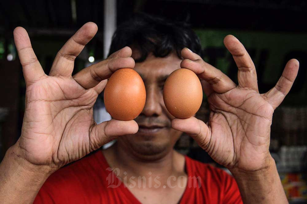  Jokowi Tinjau Harga di Pasar Rawamangun, Pedagang: Telur Turun Rp2.000