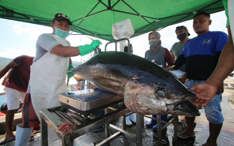 Ikan tuna/KKP