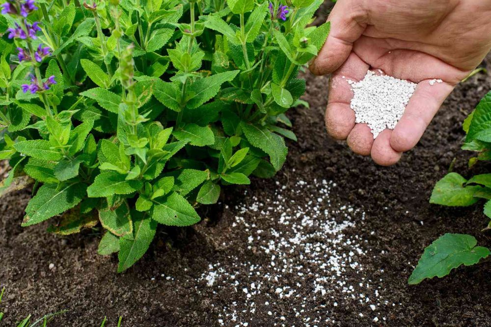  AS Tawarkan Kerja Sama Agrikultur, Dorong Sektor Pertanian Indonesia