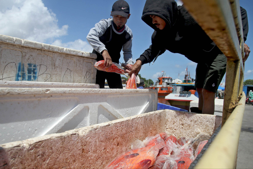  Perindo Targetkan Penyerapan Ikan Hasil Tangkapan Nelayan Sebnayak 14.252 Ton Pada Tahun Ini