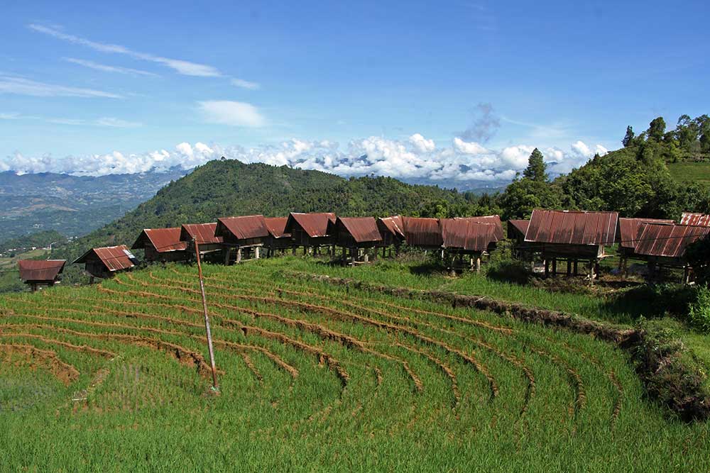  Keindahan Wisata Bangunan Lumbung Padi di Sulawesi Selatan