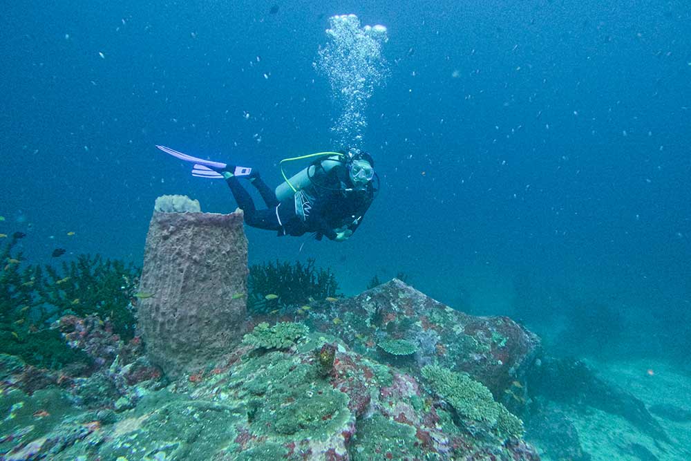  Dinas Pariwisata Aceh Terus Mempromosikan Wisata Bawah Laut Untuk Menggaet Wisatawan