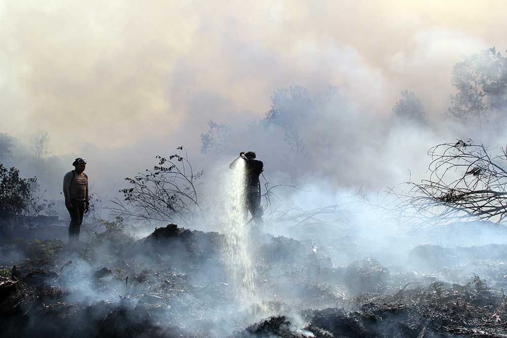  Ratusan Hektar Lahan Gambut di Riau Terbakar Sejak Dua Pekan Terakhir