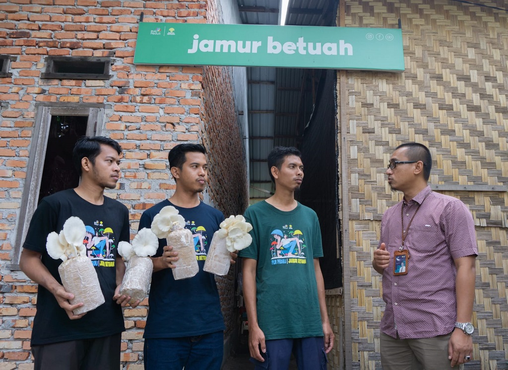  Poktan Jamur Betuah Bersama PLN Dongkrak Produk Tingkatkan Ekonomi